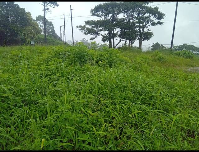 686M² VACANT LAND FOR SALE IN ZAMOKUHLE